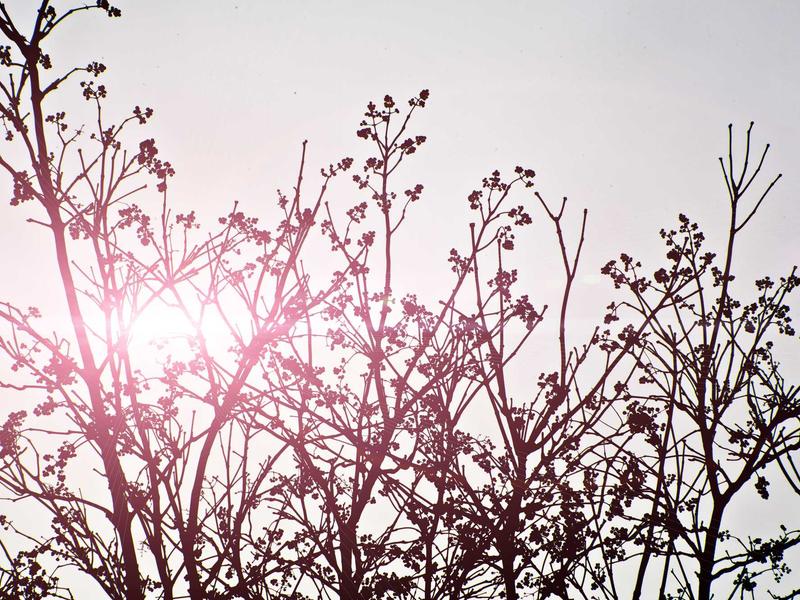 sudoku brain workout screenshot 1