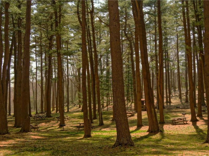 sudoku web browser game screenshot 3