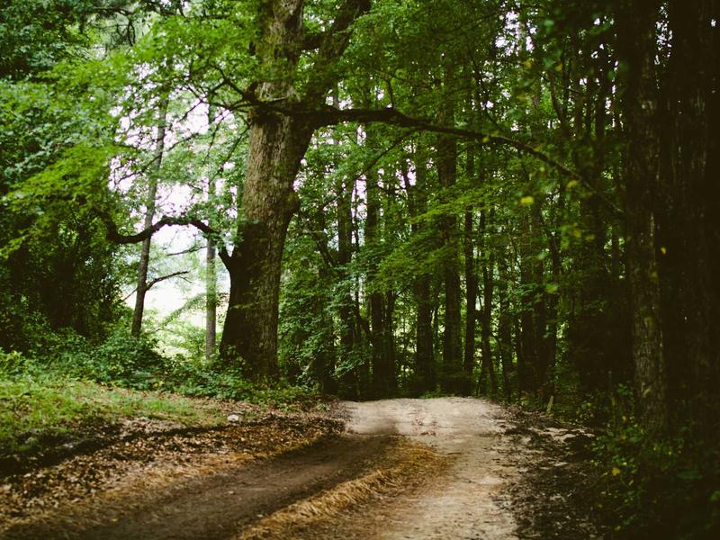 sudoku hint feature screenshot 2