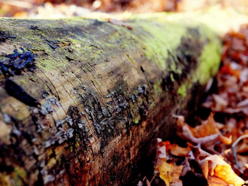 sudoku hint feature screenshot 1